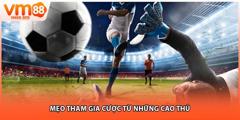 Mẹo tham gia cược từ những cao thủ